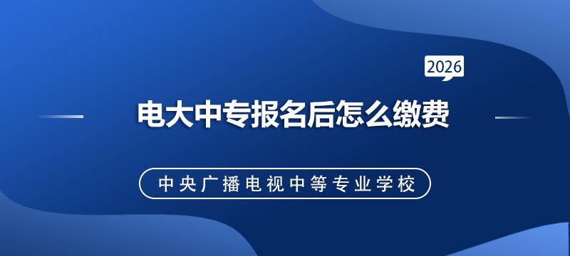 信息核对无误后对公缴纳一半学费
