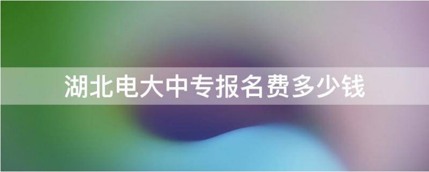 点击报名通道进入报名系统