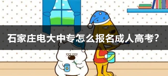 都需要考生具备高中