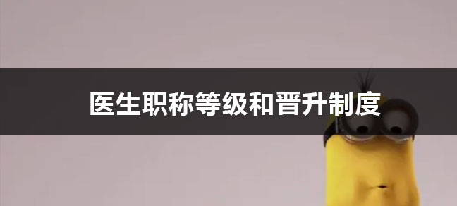 副主任医师是什么级别