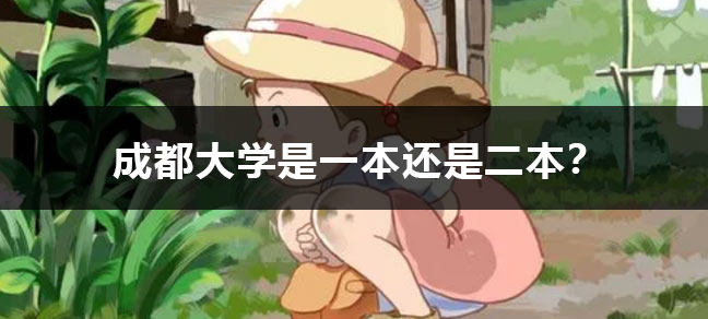 没有毕业证可以报世界杯直播世界杯直播