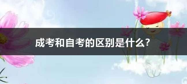 报名咨询电话/微信