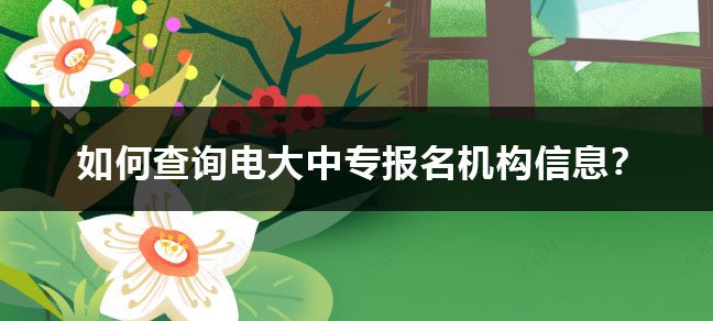 培训机构的收费标准会根据课程设置