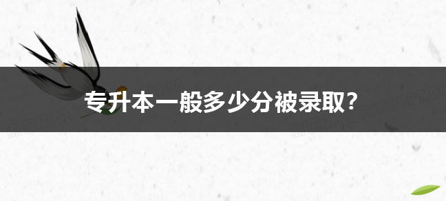 没有毕业证可以报世界杯直播世界杯直播