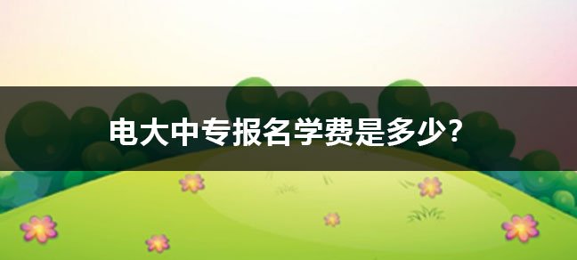 除学历验证报告外