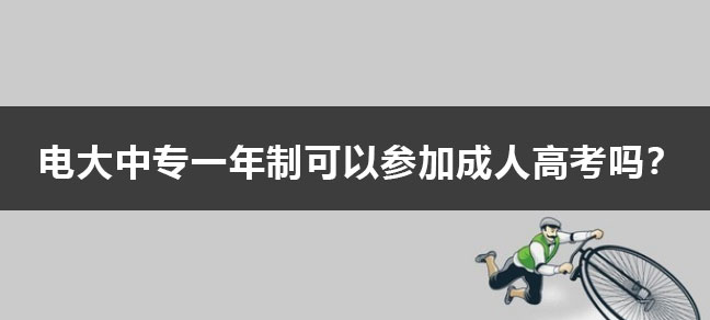 为您分配专属教务老师