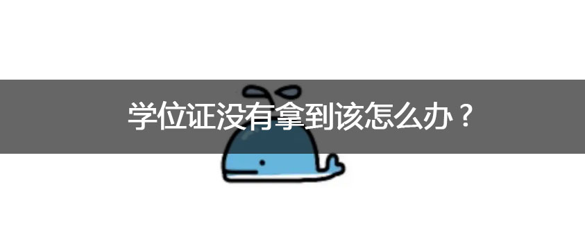世界杯直播世界杯直播平台限时优惠学历