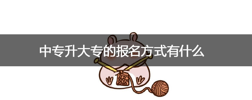报名咨询电话/微信