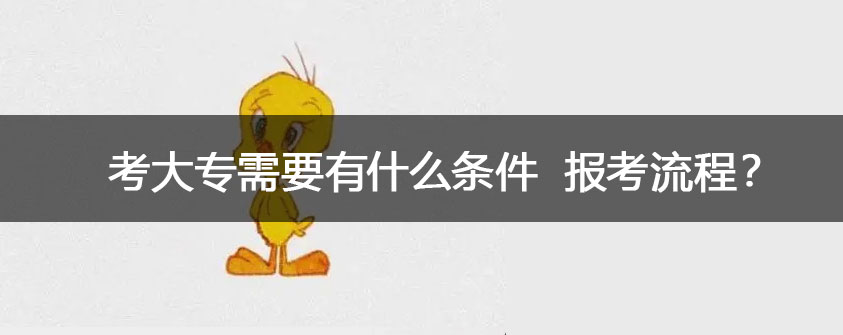 考大专需要有什么条件 报考流程是