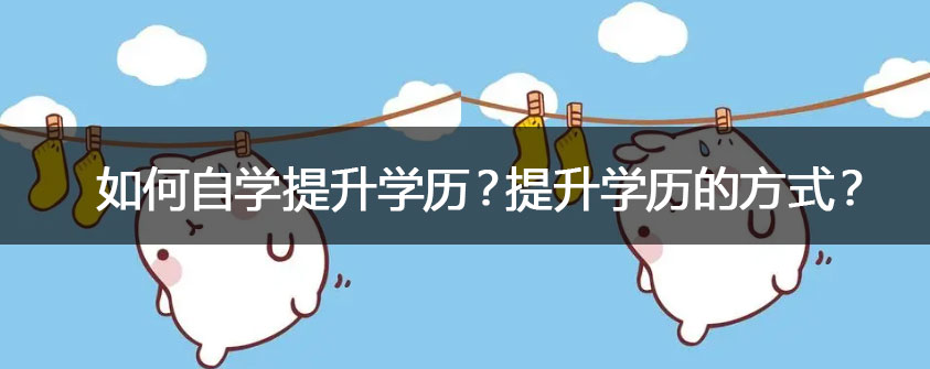 适合那些对自己未来发展没有过多限制的