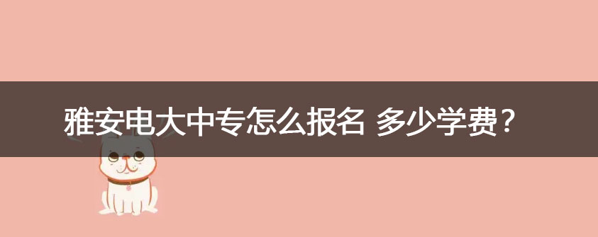 19834131985（王老师）