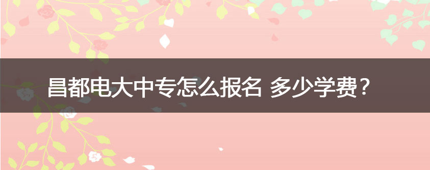 即遇网校）官网或微信公众号