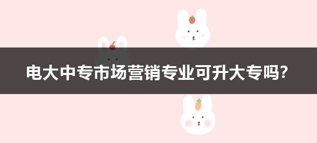 没有毕业证可以报世界杯直播世界杯直播