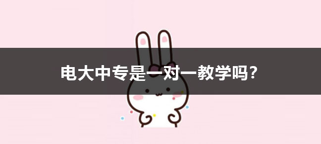 世界杯直播世界杯直播平台限时优惠毕业