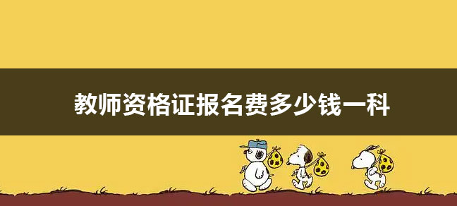 会计金融