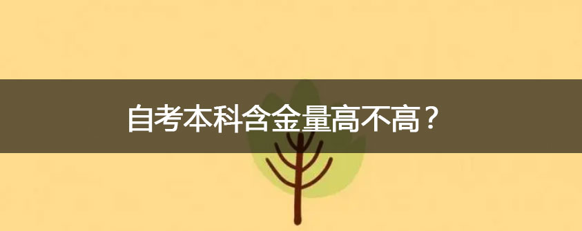自考本科含金量高不高