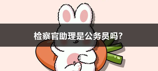 文化程度怎么填？