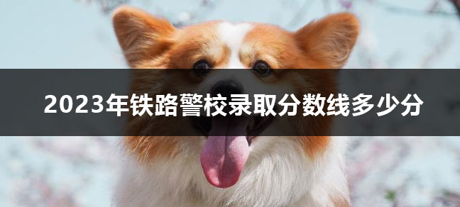 文化程度怎么填？