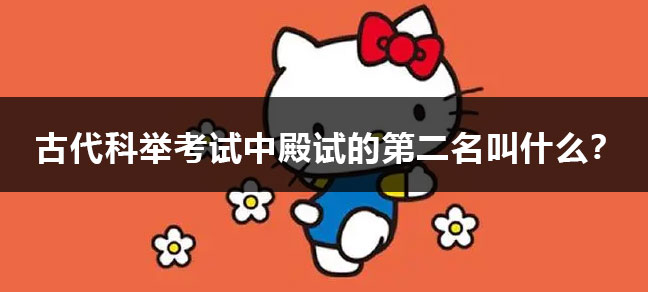 文化程度怎么填