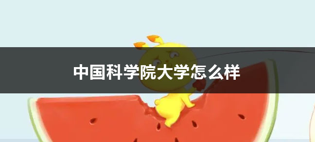 由于考研时间的安排过于紧凑