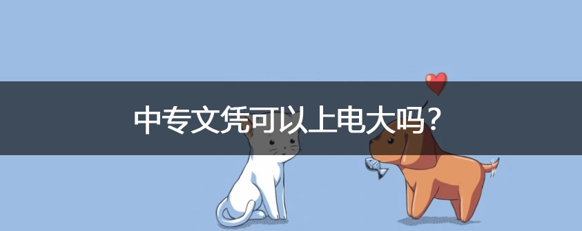 中专文凭可以上电大吗？