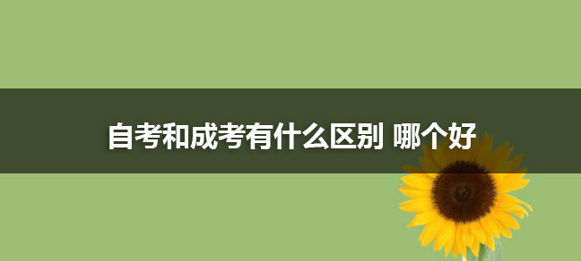 十大正规自考机构排名 报考哪个机构比
