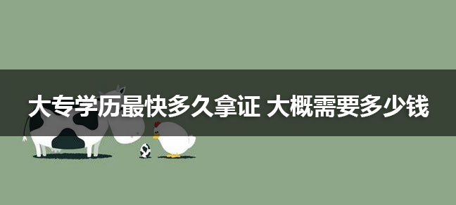 大专毕业了怎么升全日制本科