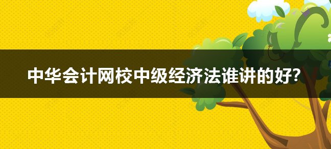 中华会计网校中级经济法谁讲的好