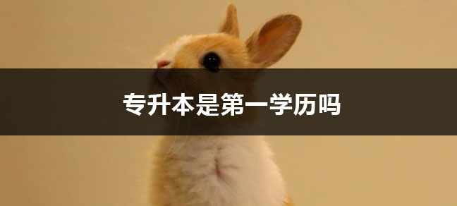 专科升本科如何升