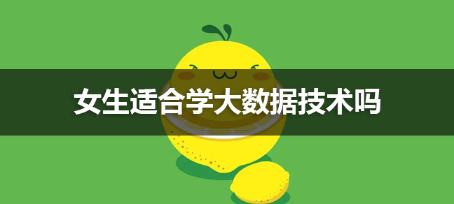 2024女生适合学大数据技术吗 有前