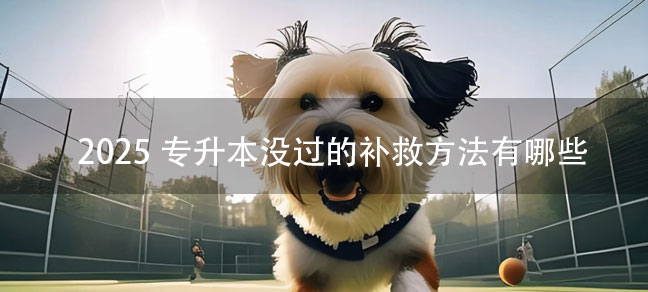 大专报考时间一般是什么时候