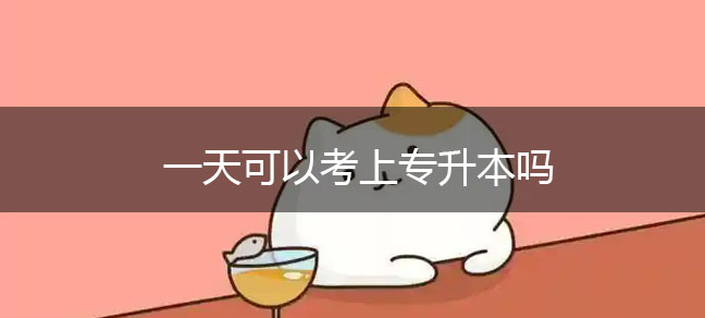 一天可以考上专升本吗